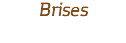 Brises